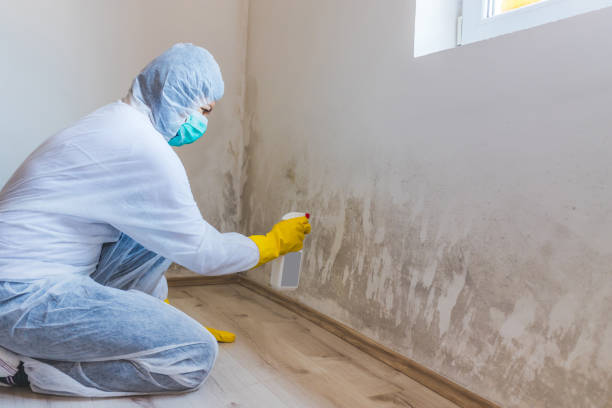 Attic mold on roof deck in Hialeah home